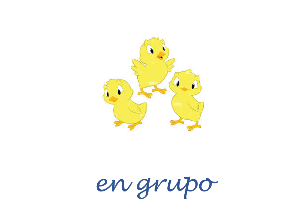 tour_empresa