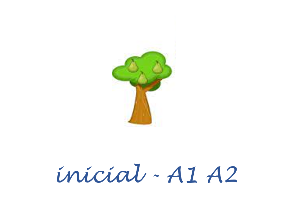 tour_particular