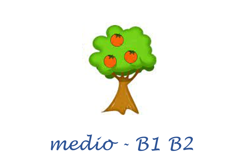 tour_empresa